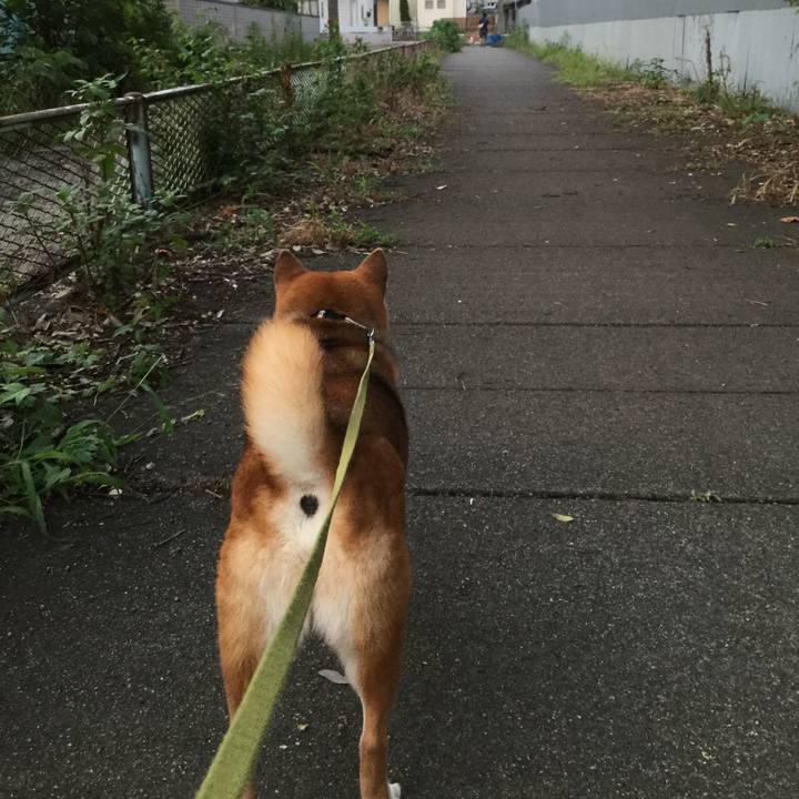 6cfe8a5c 5e9c 47fc 8055 30d69bfd5ef6 1566811558148