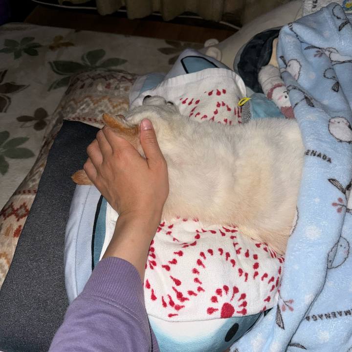 6cff157e 8dac 48e5 9753 37be4bc9fcb9 1702570829888