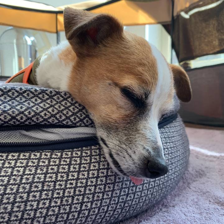 6cff212b d8c6 4b28 8afb 99453a4c557e 1646800948708