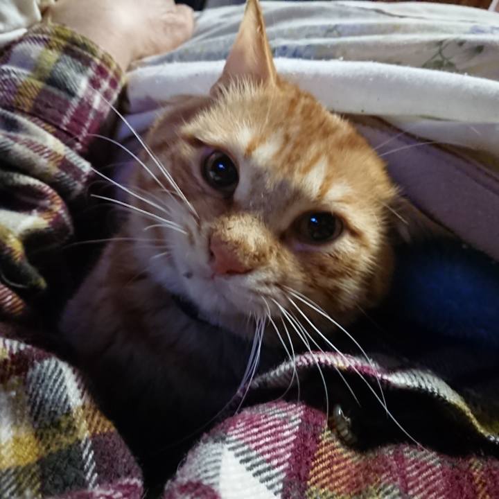 6cff778b 5d28 4f9c 950b 62a84a27e590 1649537870693