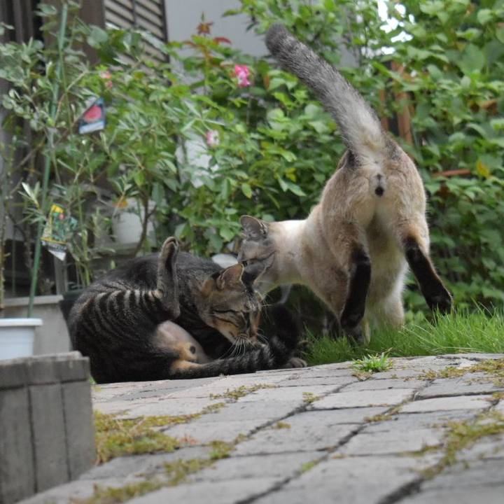 6cffbaee d202 495e bad9 db14f93a6705 1566091172037