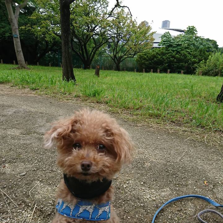 6cffd606 9186 41ac 935d 77fb08de5459 1562372024203