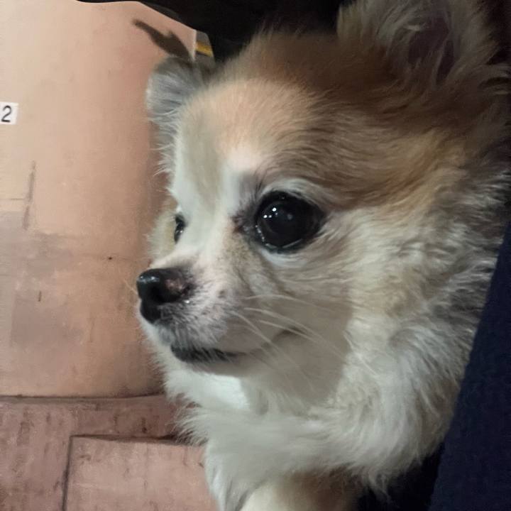 6d002ba0 a035 4616 a703 013b0f555d22 1762514986194