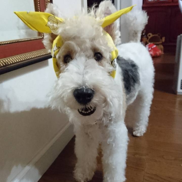 6d007e64 c5b8 4d79 b662 890de4637d79 1594964524577