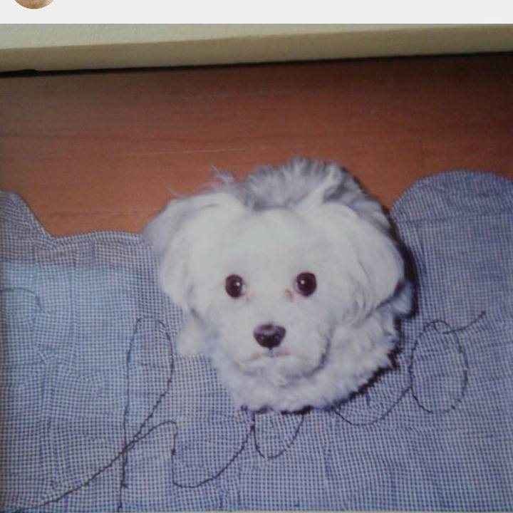 6d009283 34a7 4860 81b6 8e1620ec36ac 1700738491067