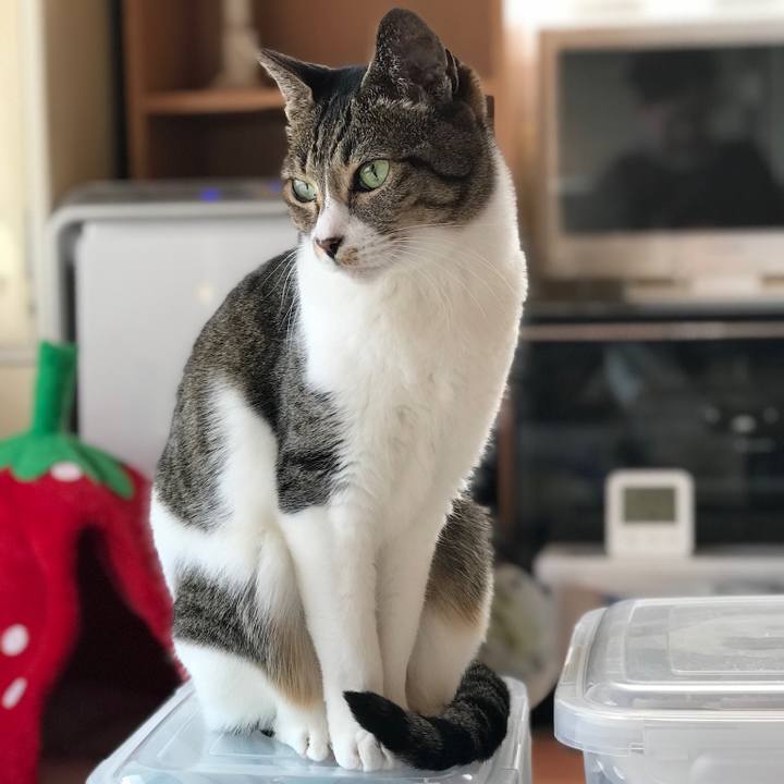 6d00b87d f5f8 412d b355 1efa610bd494 1519608679975