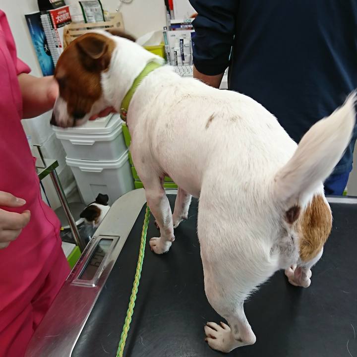 6d00db46 67bf 45e3 af52 a178a9d3f6c5 1582340031234