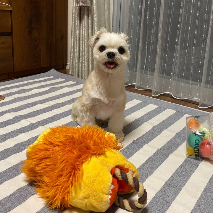 6d00e2ef b1f7 42d0 afe2 a9652c9a0b41 1570015264411