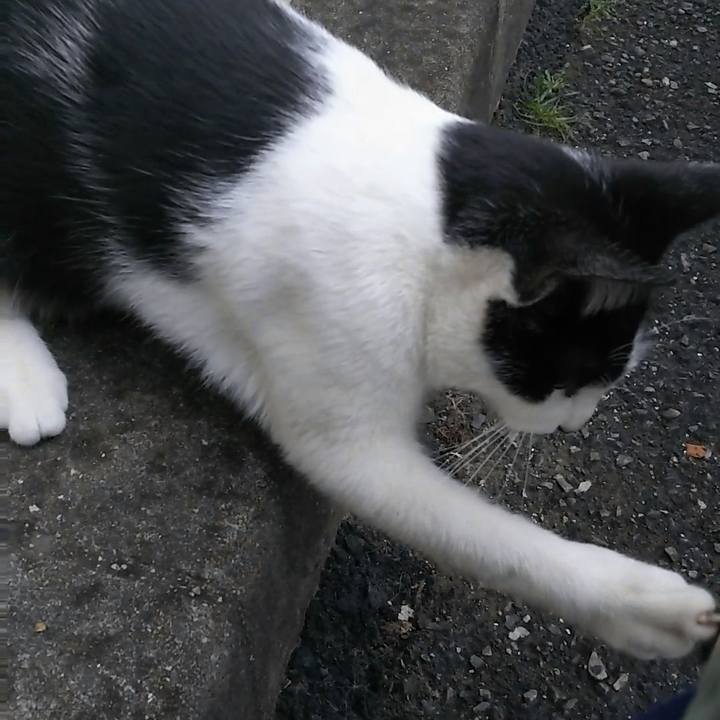 6d010122 27f1 4269 9184 1a2074ee4c34 1542061538431