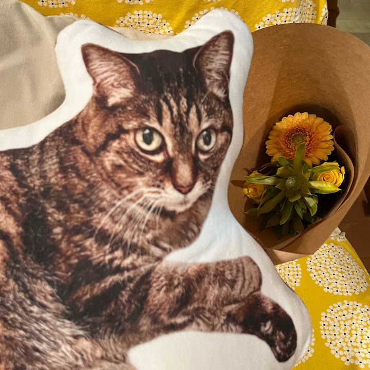 6d011761 f859 49a2 89c1 876fc89c4bdd 1761308763508