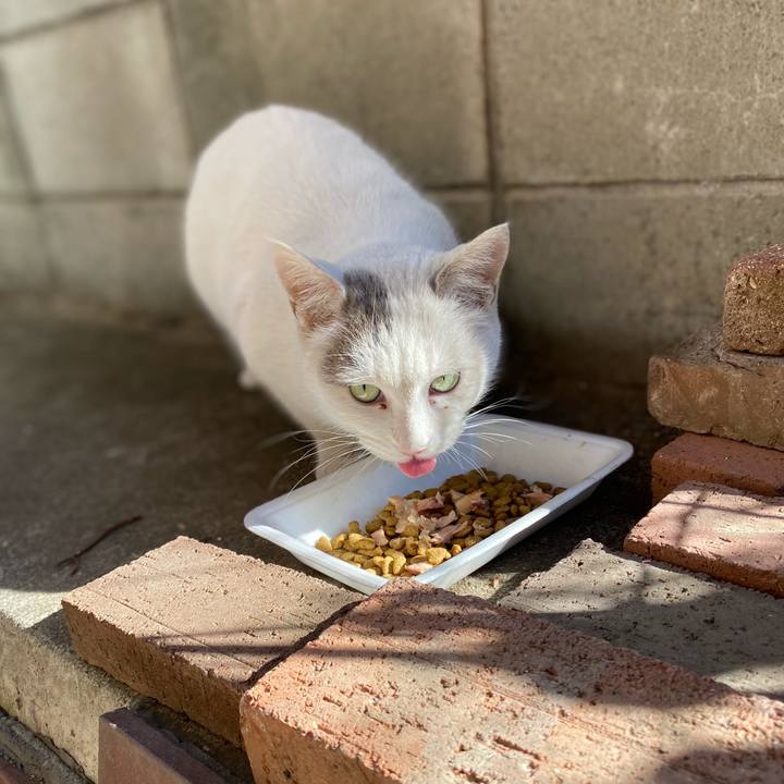 6d011afe 5bdb 4fe6 82cd a0288c0a8648 1610155684756