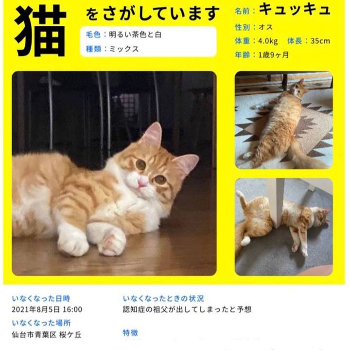 6d014183 96ba 4585 8c9e d59d80ededea 1632447673282