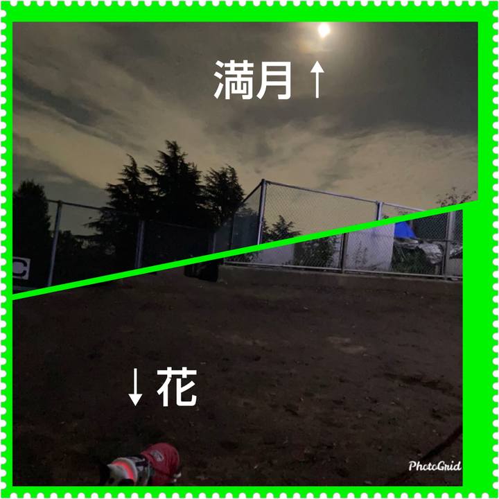 6d01440f 8cee 40c6 b86e d92a1b294bca 1632230268551