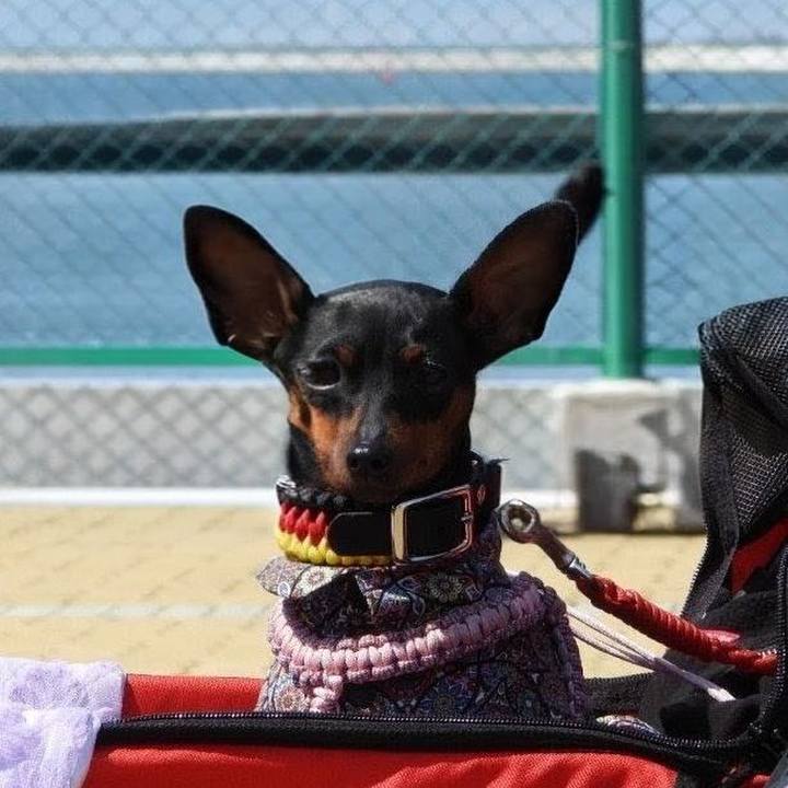 6d014a1c bebf 4b5a 937e 79466da59bc7 1774161824918