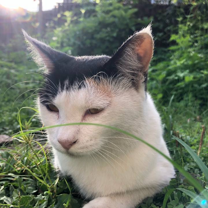 6d014a68 62b4 466d a97d 991745b68d99 1598394128802