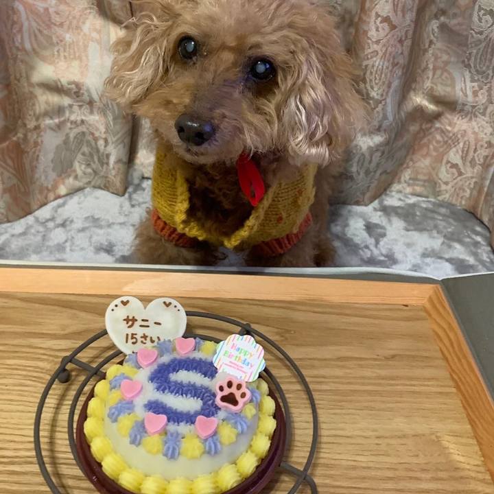 6d016270 7753 4851 b455 81a190b80ab0 1640491678145