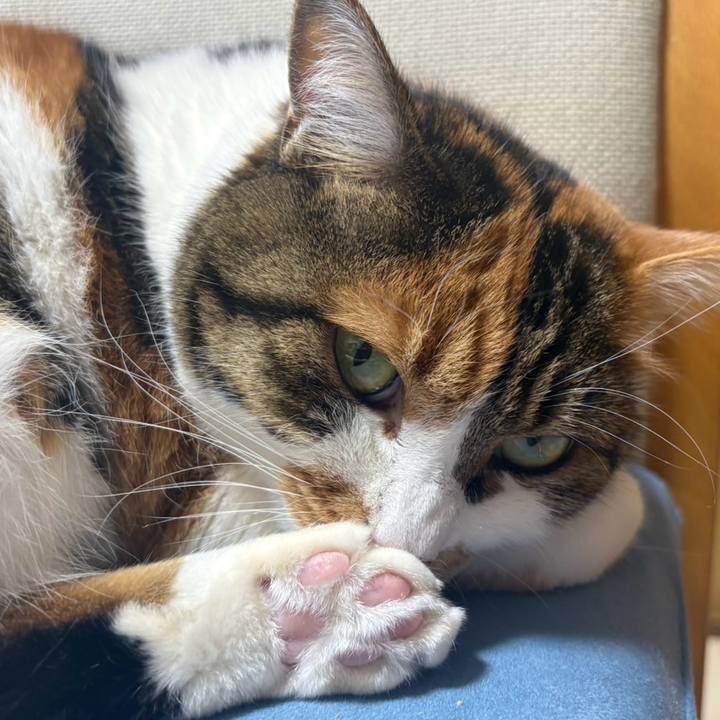 6d0184d8 c249 4fb4 bb37 645f18c09283 1768350997141