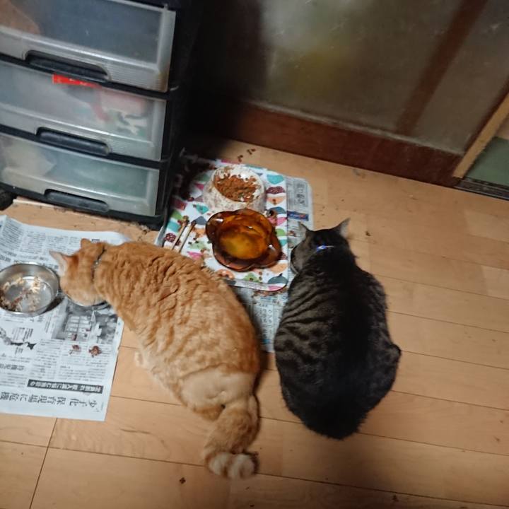 6d018a6b 56ef 4352 96b7 547a71dabbb8 1656363640907