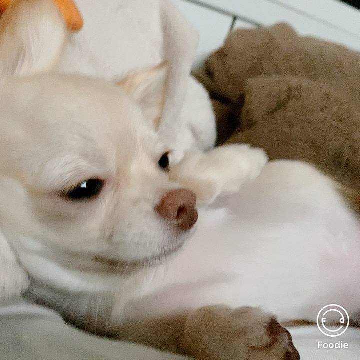 6d01a637 db88 444e a8c5 5df4f9ba8693 1601762218221