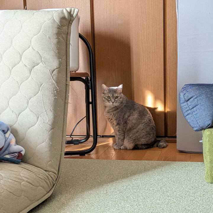 6d01aad4 6813 433a bfaa 3ab447af501a 1774694384854