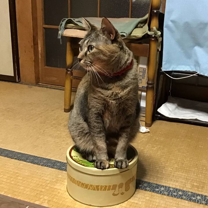 6d01c8c9 e006 4294 b05c f234a4d40212 1685016050035