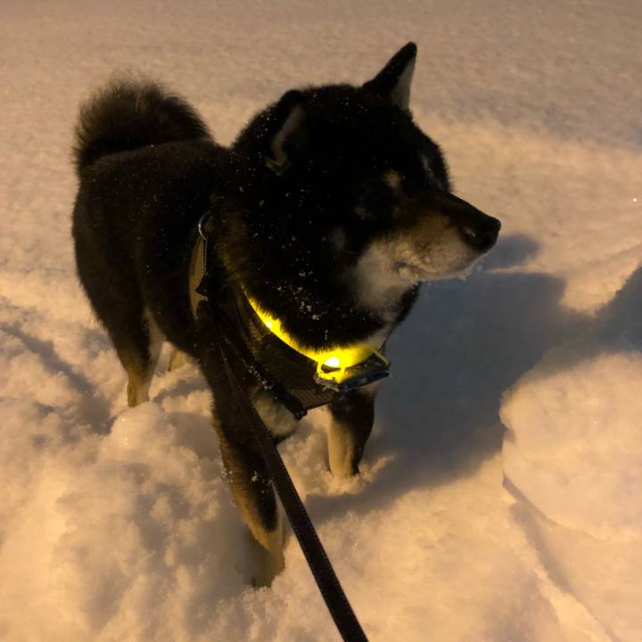 6d01dffc 4d6e 41bf a0ca 79062fb32e11 1546251115589