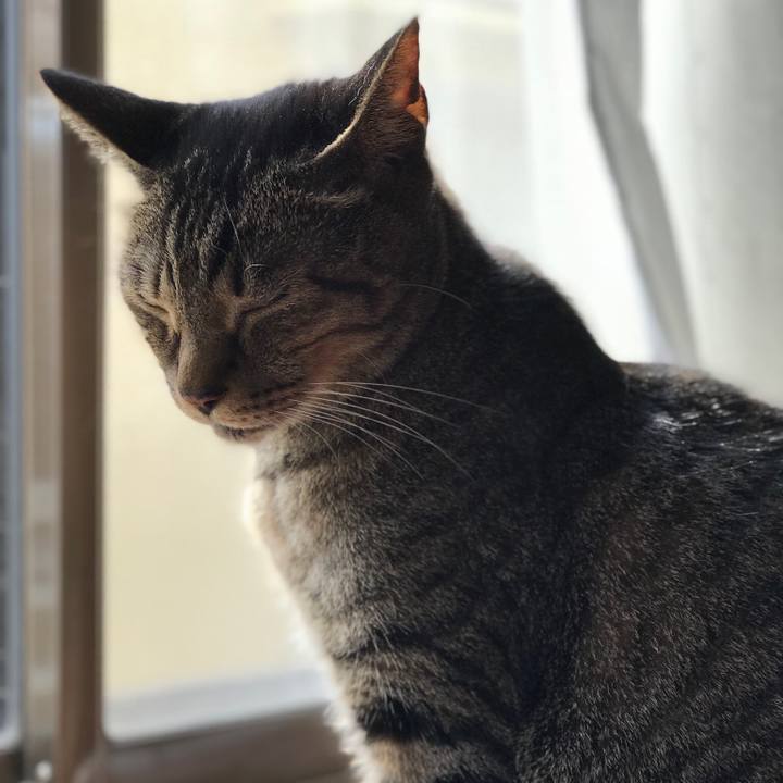 6d02326c 0bd9 4e4d 80aa 7ce43921748a 1511056118779