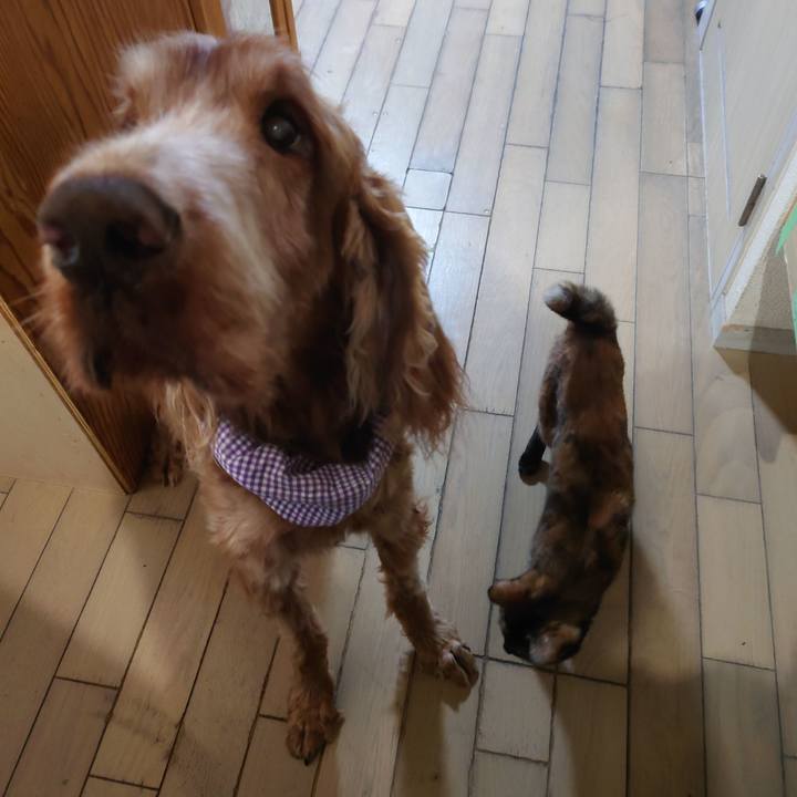 6d023d1c 0f6b 46c8 af74 951d3dfae19b 1745844429358