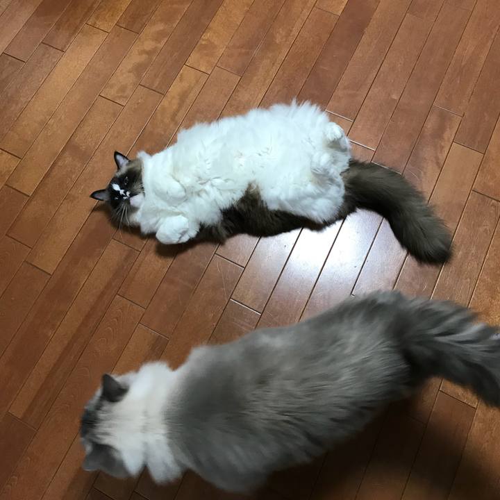 6d024a62 6fd9 4890 a12f 251844be959f 1513504301231