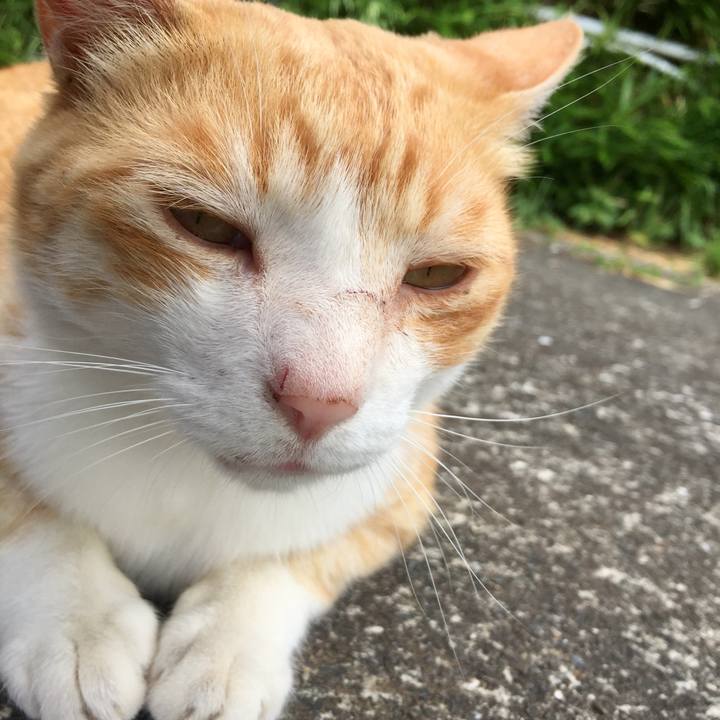 6d02552c 0a89 44d1 ac36 1d9288e7c2e5 1560518417476