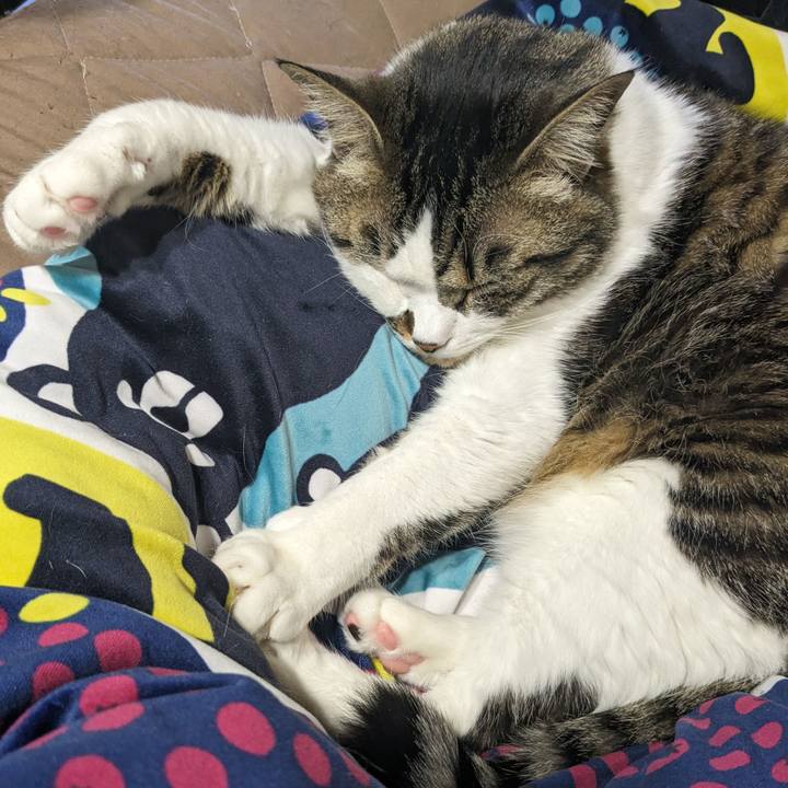 6d02b7a6 0b05 4ffc 9ed0 ff4b51fd2fdc 1713081927710