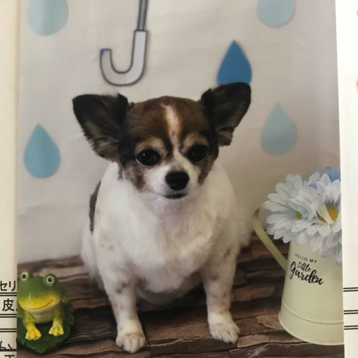 6d02c198 d23a 4f70 bf6e 2f7b5b83a3de 1690425883369