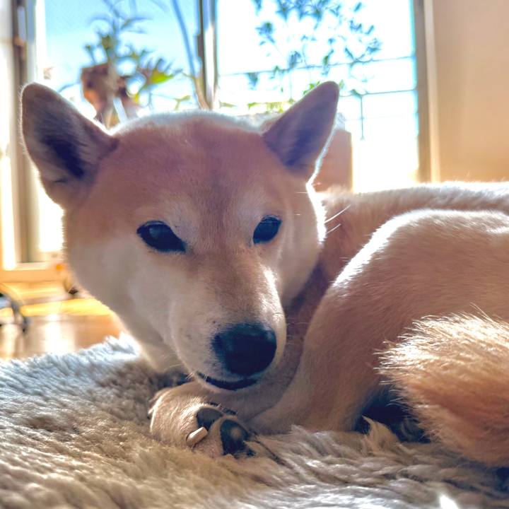 6d02cbee 8d6e 4ac1 834f 001e43418f4f 1773274930969