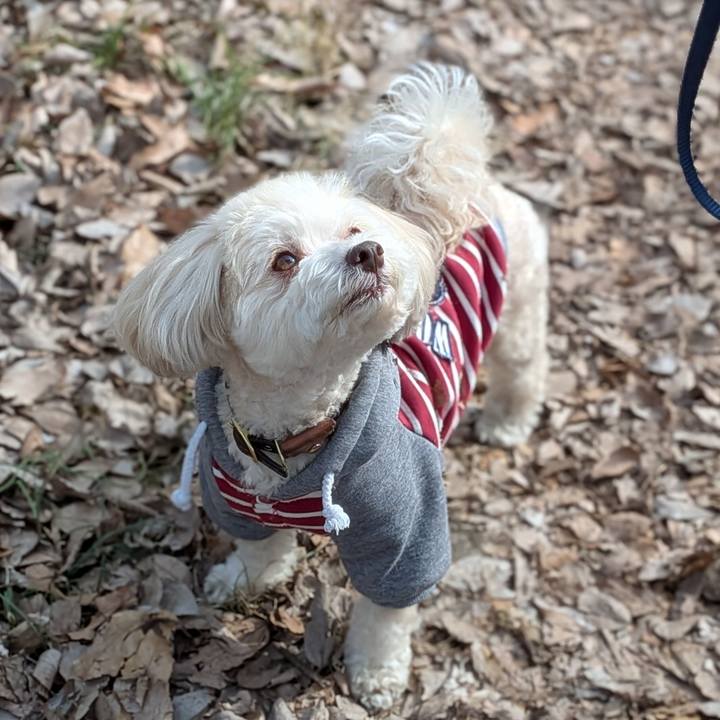 6d02f01d bbf3 4c4e 89b6 7ee7167595ab 1771063083236