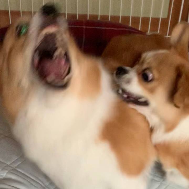 6d030142 dedd 4c8a ae9f f23d85731a61 1601034531819