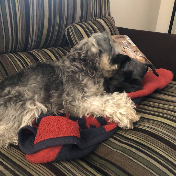 6d0365f9 089e 4631 a37d e44db506ef46 1520056539201