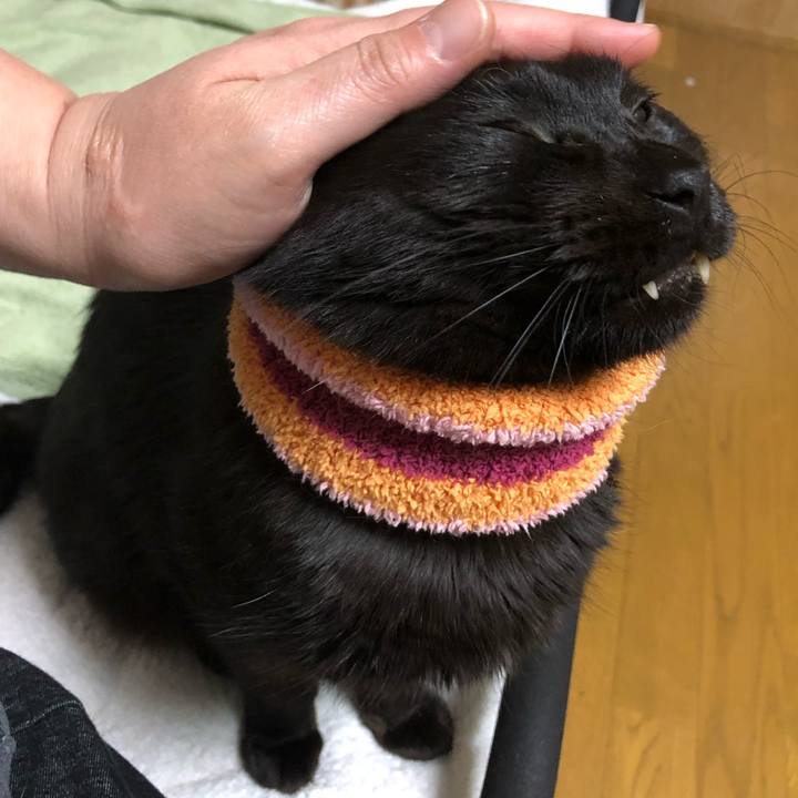 6d038931 c61f 4946 9fa9 47e497ca4f88 1588070764350