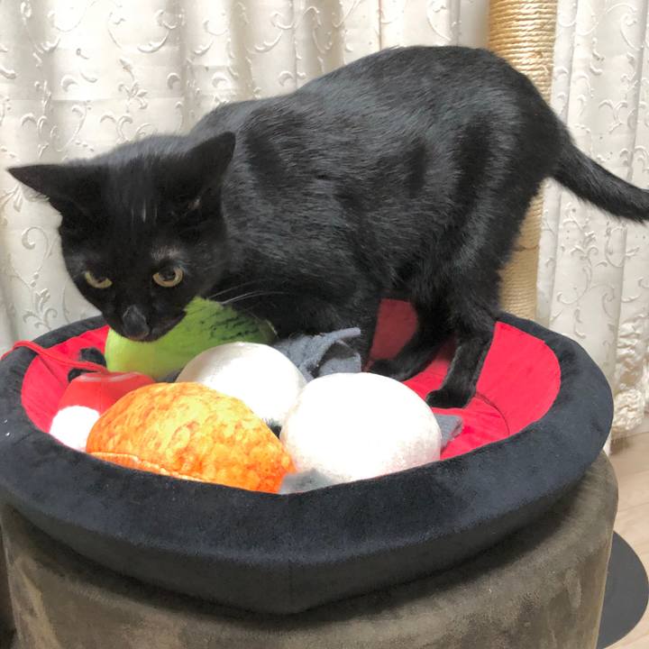 6d03b5e3 f0ba 4c59 ba76 4eed60ad11a9 1607949634290