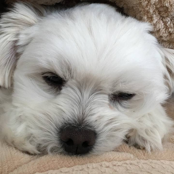 6d03fa5d e82a 4047 841e 600b88e72fe8 1546040724907