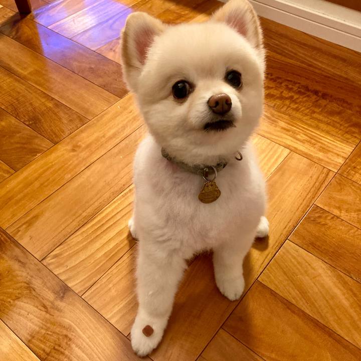 6d048191 13b5 4407 a16d 6218fc532774 1635762029637