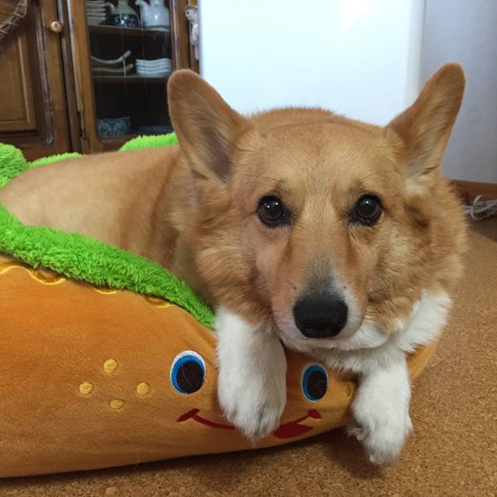 6d0484a6 e5b8 464b 9230 82cffb5fb5f9 1508129424442