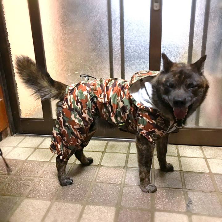 6d049486 d5a0 469b b846 edc7cc1236bb 1557827592086