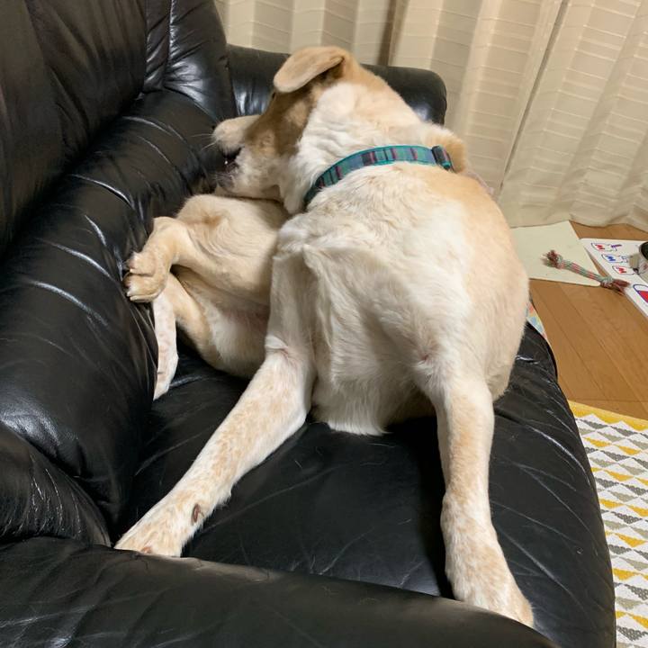 6d04c5bc e132 4404 a094 33974ed92d73 1559752852924