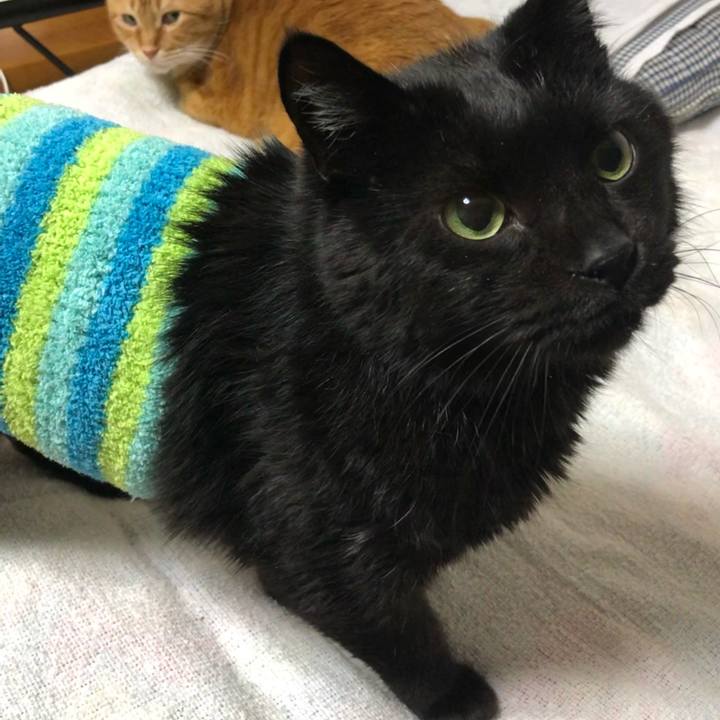 6d04cccc 7393 4e55 ae66 d7d23d32ce8e 1612538560766