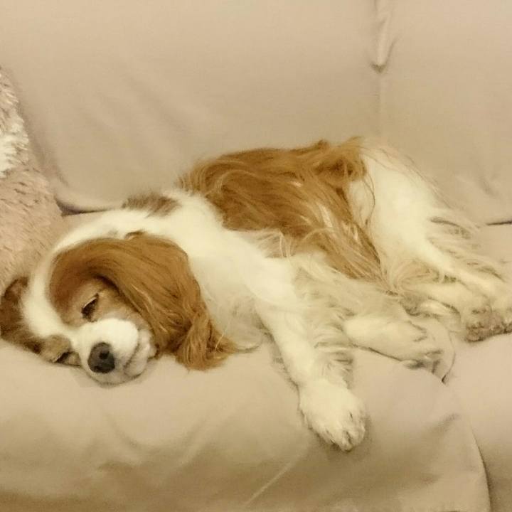 6d04f5f7 f501 44bc b640 eb66ada8cf17 1556535961457