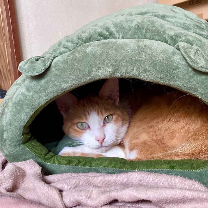 6d04f934 779a 4537 9b5b b677f063aed0 1662696862708