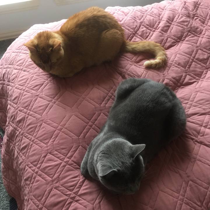 6d05184a 420e 4b08 bfaf 930c6a4fb515 1650076378813