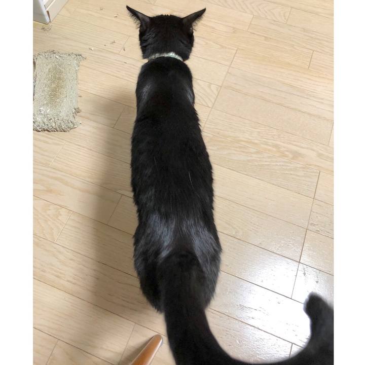 6d05288a b03a 4eb2 8fea a572d08acd8f 1594299266314