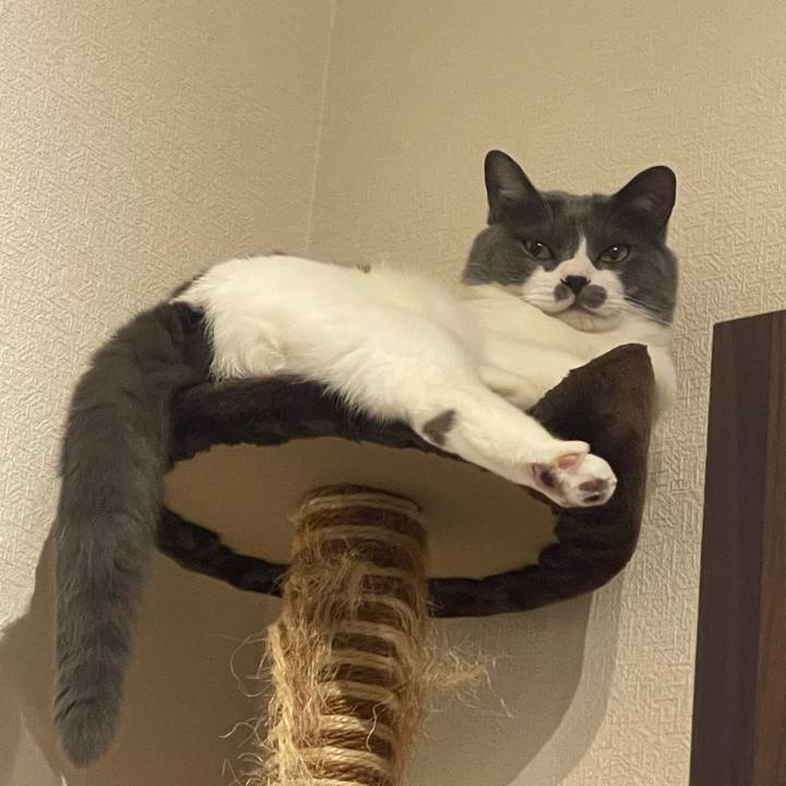 6d053bed 9505 4efa ab5a 18ab7716094d 1750946714554