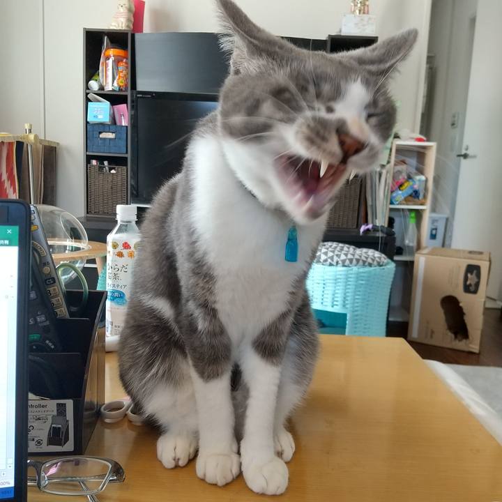 6d0562fb e228 4bd8 b13e 83513c4e972d 1616551139614